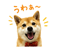 849375455