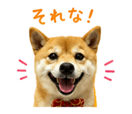 849375457