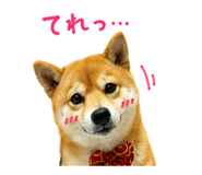 849375458