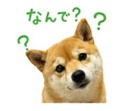 849375459