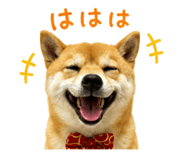 849375460