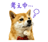 849375463