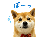 849375464