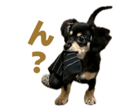 849375689