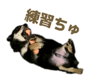 849375693