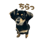 849375700