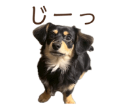 849375701