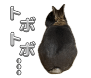 849377408
