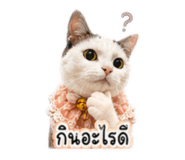 849383065