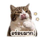 849383066
