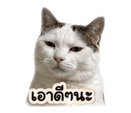 849383076