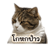 849383077