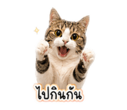 849383080