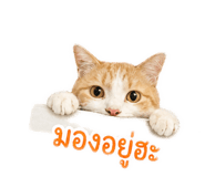 849387211
