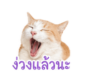 849387214