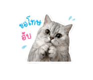 849387647