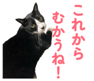 849393927