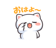 849402491