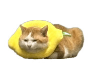 849408993