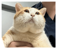 849408995
