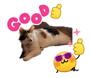 849411710