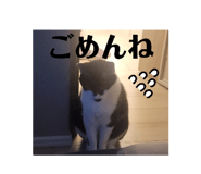 849412400