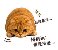 849413774