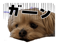 849418670