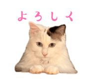 849423620