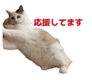 849423626