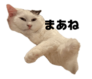849423628