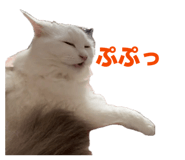 849423629