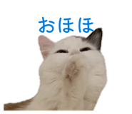 849423630