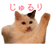 849423645