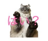 849424690
