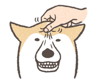 849428350