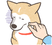 849428359