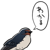 849429985