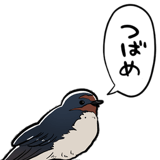849429995