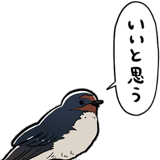 849429998