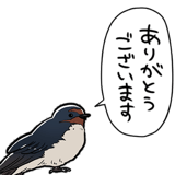 849430017