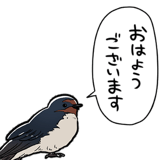 849430018