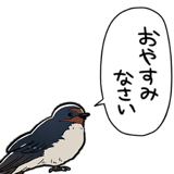 849430019