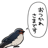 849430020