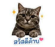 849437881
