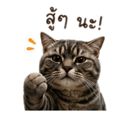 849437883