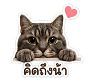 849437890