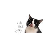 849438143
