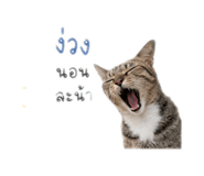 849438150