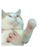 849441490